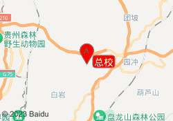 总校