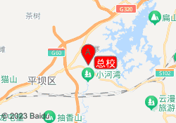 总校
