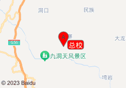 总校