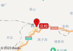 总校