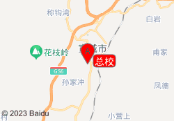 总校