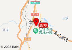 总校