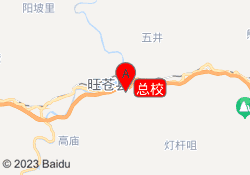 总校