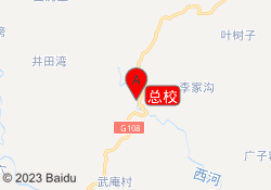 总校