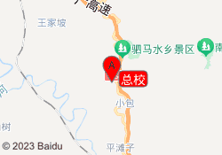 总校