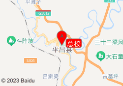 总校