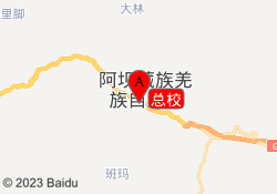 总校