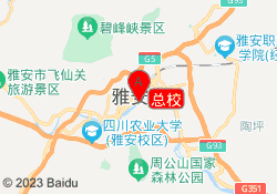 总校