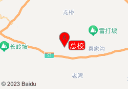 总校