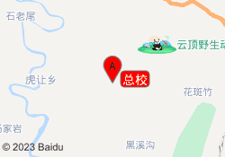 总校