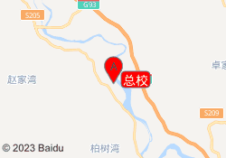 总校
