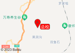 总校