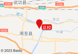 总校