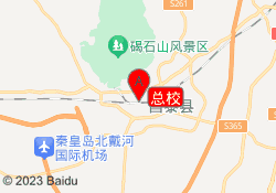 总校