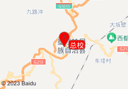 总校