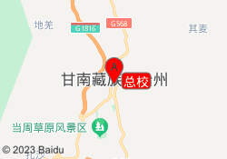 总校
