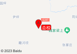 总校