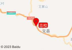 总校