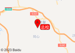 总校