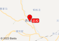 总校