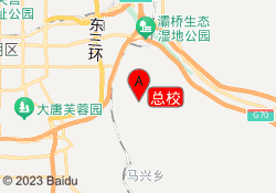 总校