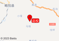 总校