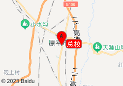 总校