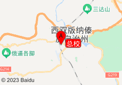 总校