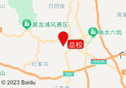 总校