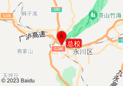 总校