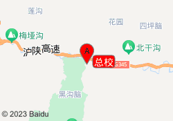 总校