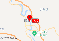 总校
