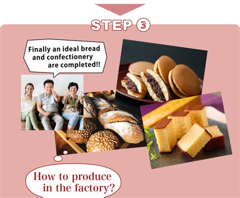 食品机械与管理