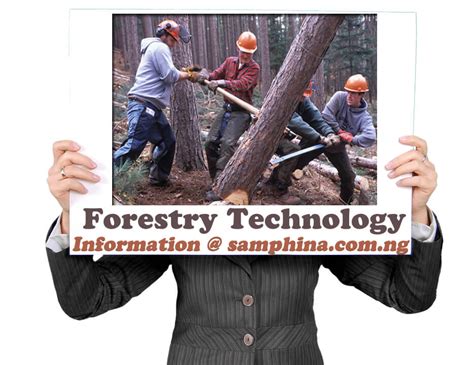 林业技术