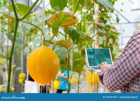 农产品质量检测