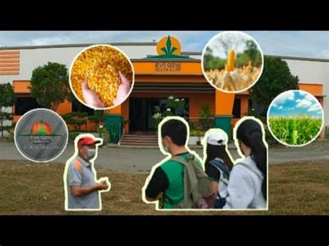 种子生产与经营