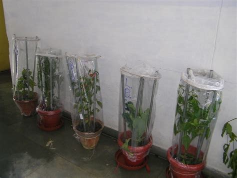 植物保护与检疫技术