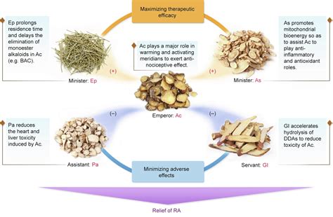 中药生产与加工