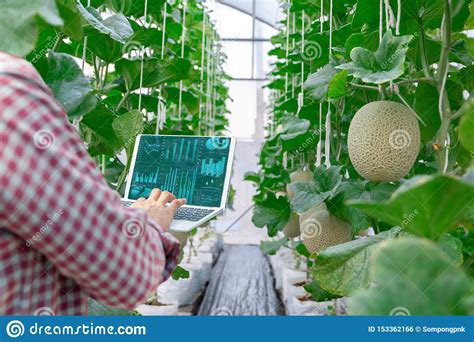 农产品质量检测