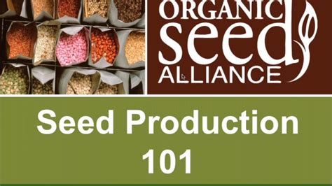 种子生产与经营