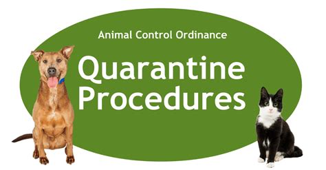 动物防疫与检疫