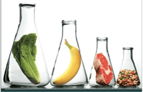 食品检测及管理