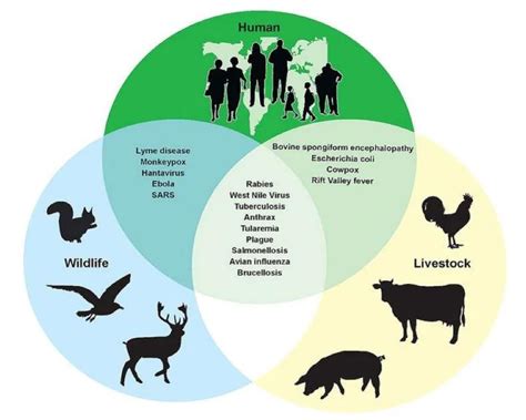 动物防疫与检疫