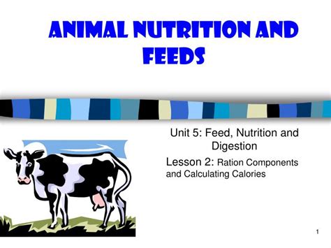 饲料与动物营养