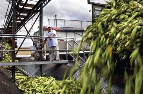 农产品加工与质量检测