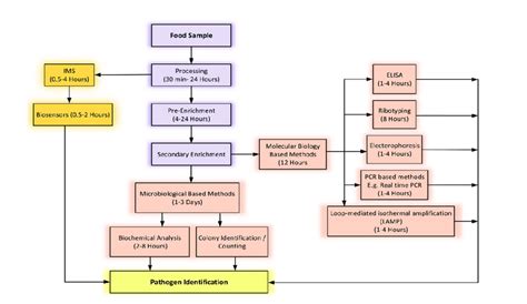 食品分析与检验