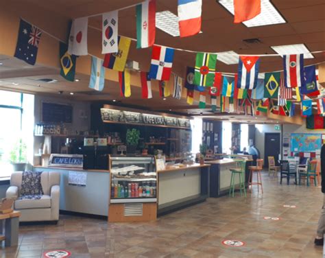 文化市场经营与管理