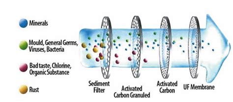 城市水净化技术