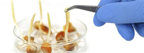 种子科学与工程