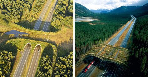 道路桥梁与渡河工程